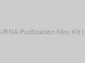 After Tri-RNA Purification Mini Kit (50prep)